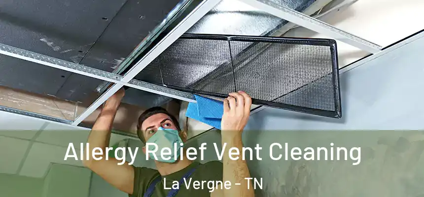  Allergy Relief Vent Cleaning La Vergne - TN