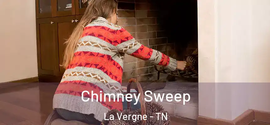  Chimney Sweep La Vergne - TN