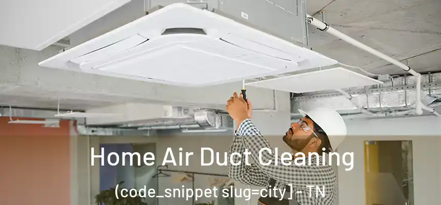  Home Air Duct Cleaning (code_snippet slug=city] - TN