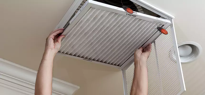 Preventive Cockroach-Proofing for Ducts in La Vergne