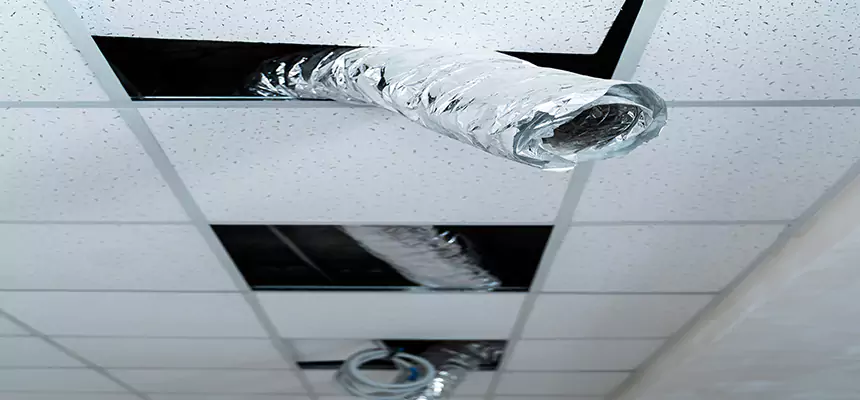 Affordable HVAC Sanitizing After Pest Removal in La Vergne