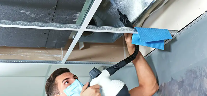 Our Air Duct Rodent Removal Services in La Vergne, TN