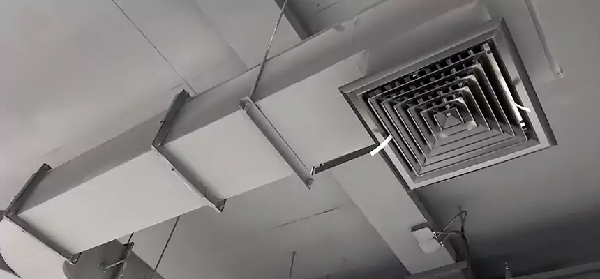 Restorative Allergy Relief Vent Cleaning – Coil, Blower & Housing Detail in La Vergne