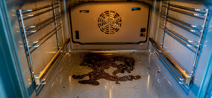 Our Dryer Vent Mold Cleaning Services in La Vergne, TN