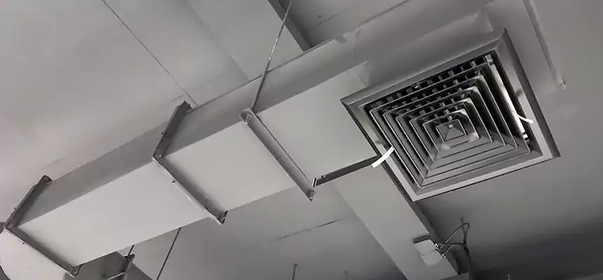 Our Pest Removal From Ducts Services in La Vergne, TN