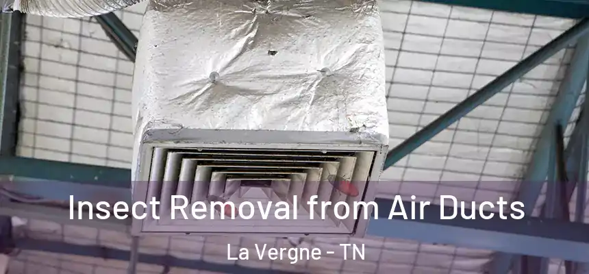 Insect Removal from Air Ducts La Vergne - TN
