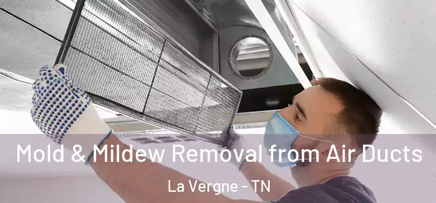Mold & Mildew Removal from Air Ducts La Vergne - TN