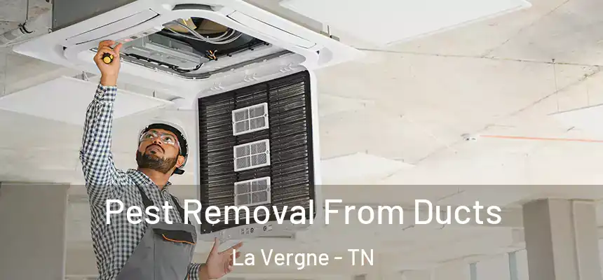  Pest Removal From Ducts La Vergne - TN