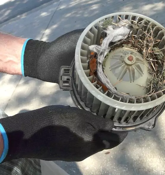 About Air Duct Mice Removal in La Vergne, TN