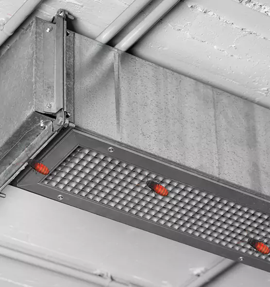 Affordable Insect Removal from Air Ducts in La Vergne, TN