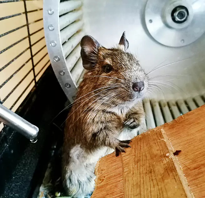 Why Homeowners & Businesses Trust Us La Vergne, TN?