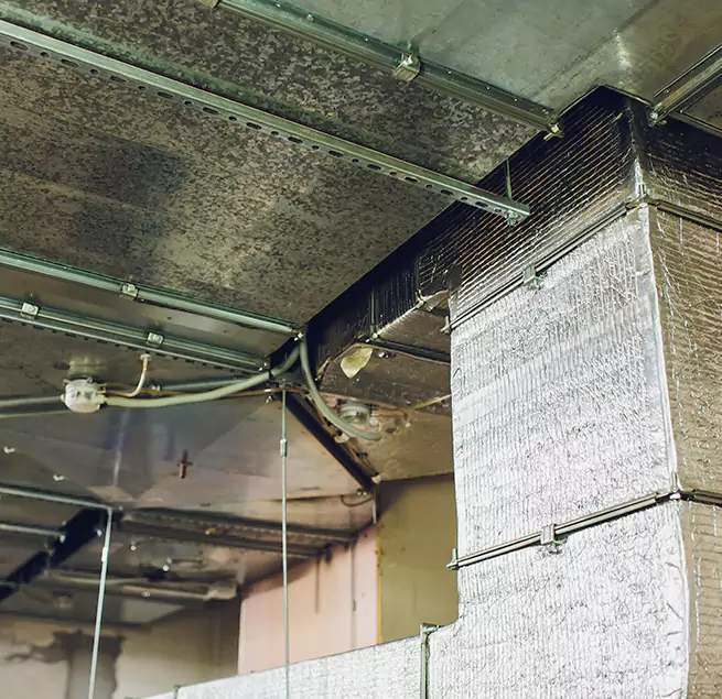 Why Homeowners & Businesses Trust Us in La Vergne, TN?